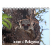 マダガスカルのカレンダーのLemurs カレンダー (カバー)