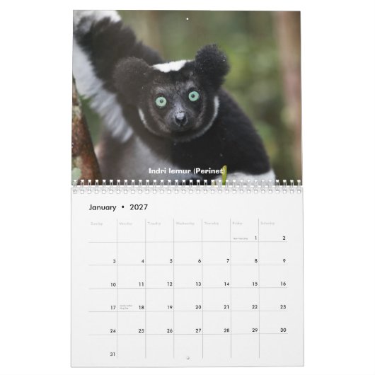 マダガスカルのカレンダーのLemurs カレンダー (1月 2027)