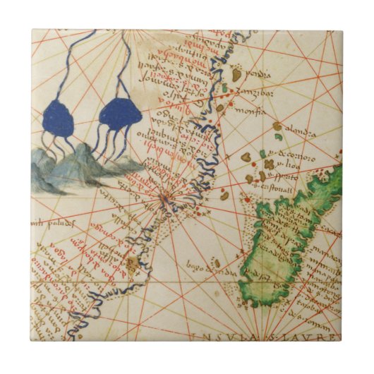 マダガスカルの地図 タイル (正面)