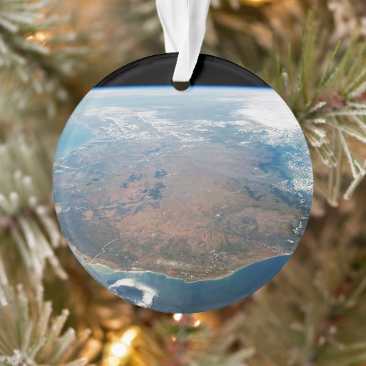 マダガスカルの島。 オーナメント (ツリー)