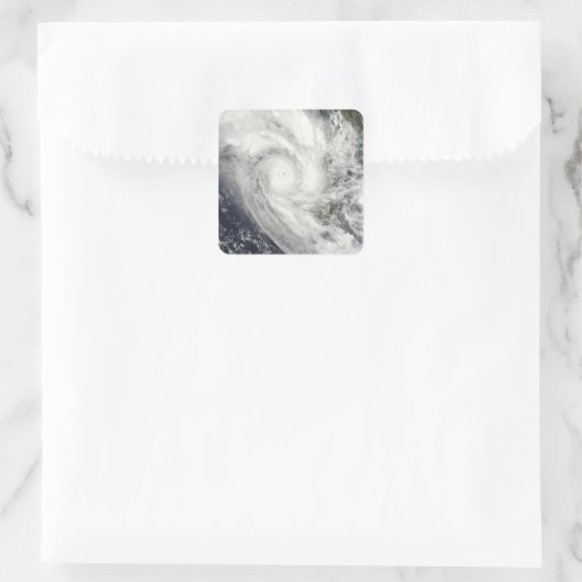 マダガスカルの熱帯低気圧ファネレ スクエアシール (バッグ)