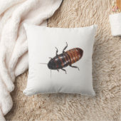 マダガスカルの音を立てるゴキブリ クッション (ブランケット)