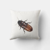 マダガスカルの音を立てるゴキブリ クッション (裏面)