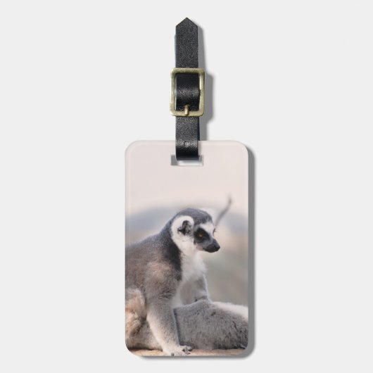 マダガスカルのLemur ラゲッジタグ (正面縦)
