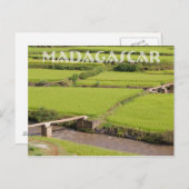 マダガスカルのPaysage de rizieres ポストカード (正面/裏面)