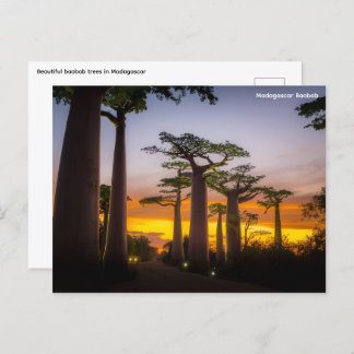 マダガスカルはがき シーズンポストカード