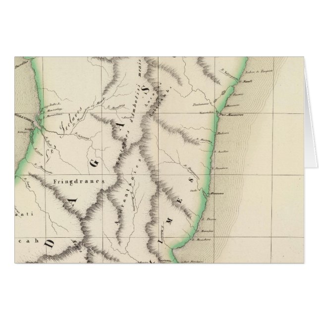 マダガスカルアフリカ56 (正面横)