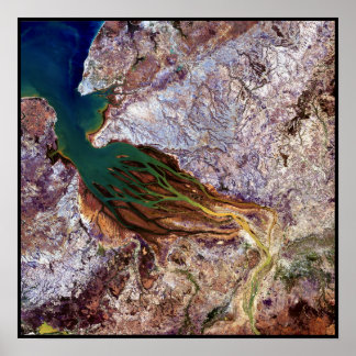 マダガスカルクラゲ ポスター