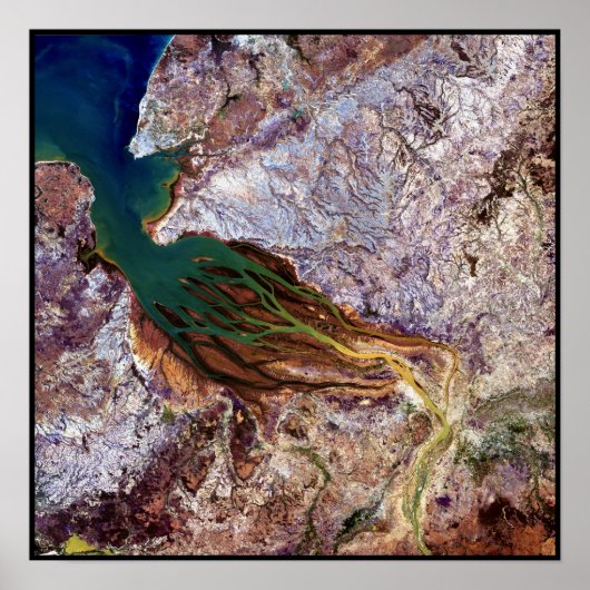 マダガスカルクラゲ ポスター (正面)