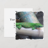 マダガスカルジャイアントデイゲコー スクエア インビテーション (正面/裏面)