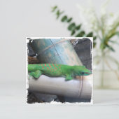 マダガスカルジャイアントデイゲコー スクエア インビテーション (スタンド正面)