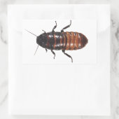 マダガスカルヒシヒスクローチ 長方形シール (バッグ)