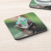 マダガスカルレッドバーパンサーカメレオン コースター (左側)