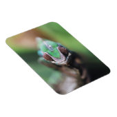 マダガスカルレッドバーパンサーカメレオン マグネット (右側)