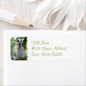 マダガスカルレムール差出人住所ラベル ラベル (インサイチュ)