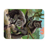 マダガスカルヴィンテージの木の中の2つのAye-Ayes マグネット (横)