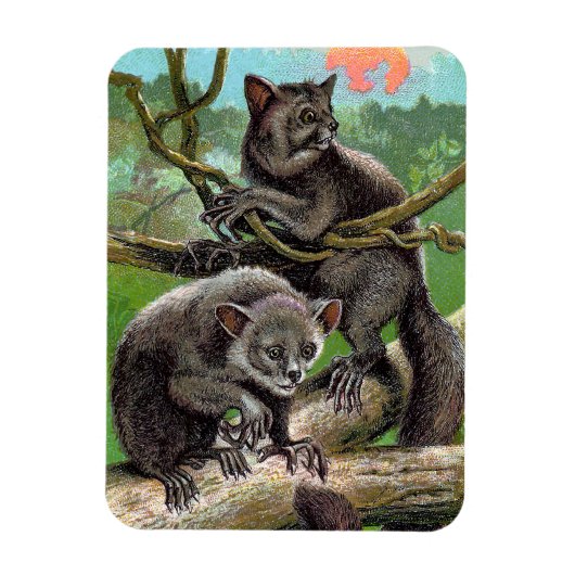 マダガスカルヴィンテージの木の中の2つのAye-Ayes マグネット (縦)