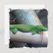 マダガスカル巨大な日のヤモリの正方形の招待状 招待状 (正面/裏面)