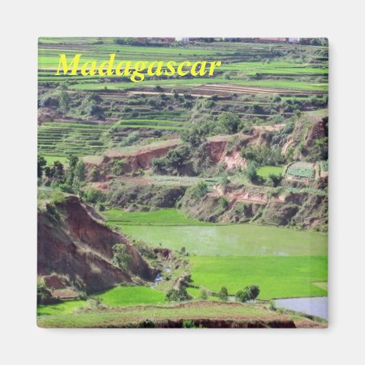 マダガスカル磁石 マグネット (正面)