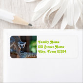 マダガスカル雑音 ラベル (インサイチュ)