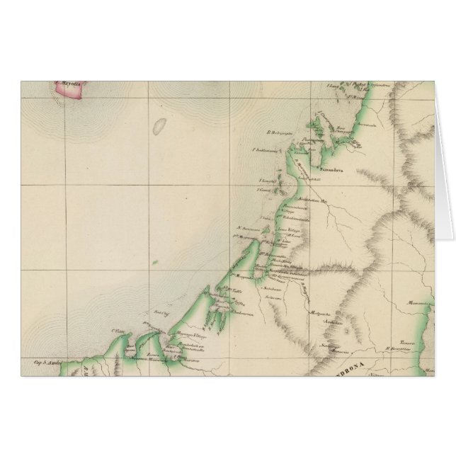 マダガスカル・アフリカ55 (正面横)