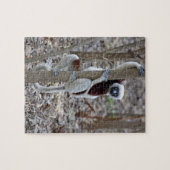 マダガスカル、アンカラファンチカ保護区、アンピジョロア; ジグソーパズル (横)