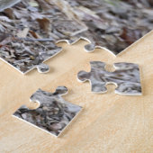 マダガスカル、アンカラファンチカ保護区、アンピジョロア; ジグソーパズル (側面)