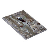 マダガスカル、アンカラファンチカ保護区、アンピジョロア； ノートブック (右側)