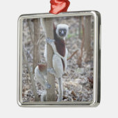 マダガスカル、アンカラファンチカ保護区、アンピジョロア； メタルオーナメント (左)