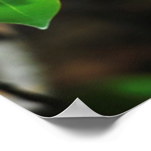 マダガスカル、アンダシベ、イルオーレムリエンズ、母 ポスター (角)