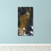 マダガスカル キャンバスプリント (インサイチュ (ウッドフロア))