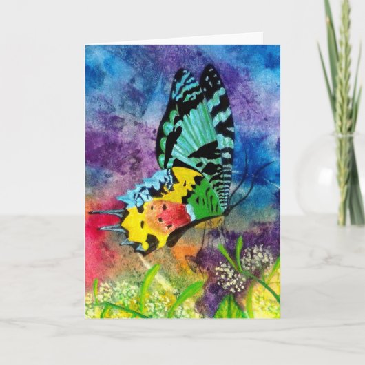 マダガスカル・スプラッシュ・プロフィール カード (正面)