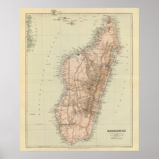 マダガスカル ポスター (正面)