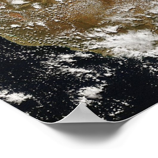 マダガスカル ポスター (角)