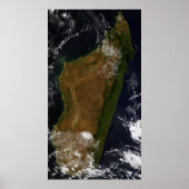 マダガスカル ポスター (正面)