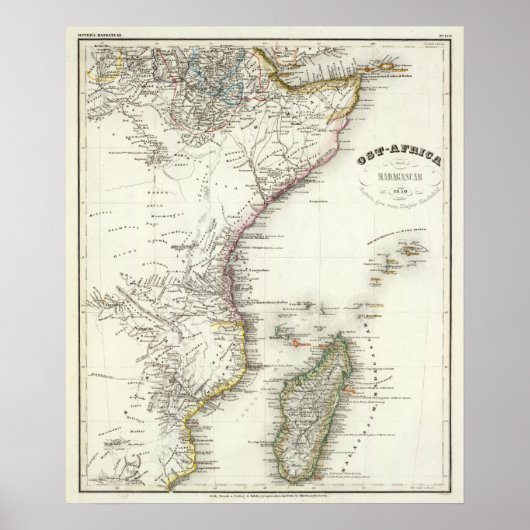 マダガスカル ポスター (正面)