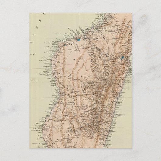 マダガスカル ポストカード (正面)