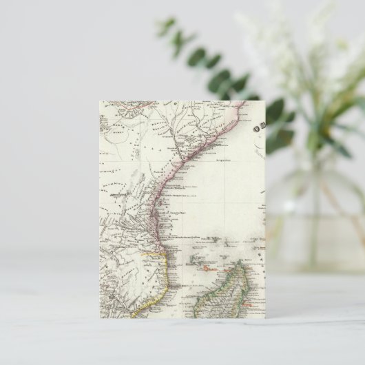 マダガスカル ポストカード (スタンド正面)