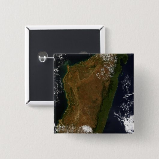 マダガスカル 缶バッジ (正面&裏面)