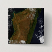 マダガスカル 缶バッジ (正面)