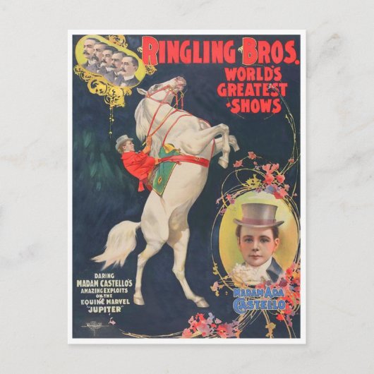 マダムアダカステッロ ポストカード (正面)