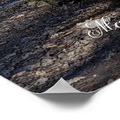 マダムシェリー州フォレスト ポスター (角)