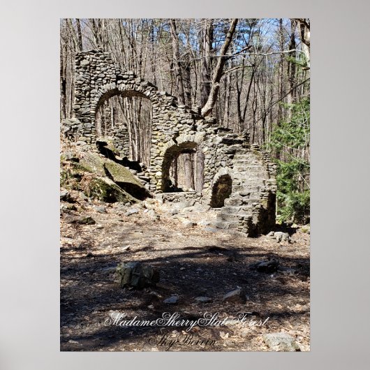 マダムシェリー州フォレスト ポスター (正面)