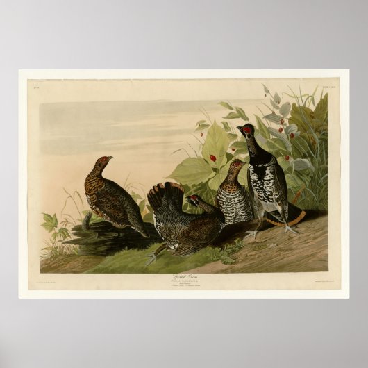 マダラカ ポスター (正面)