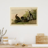 マダラカ ポスター (キッチン)