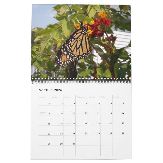 マダラチョウのカレンダー カレンダー (3月 2026)