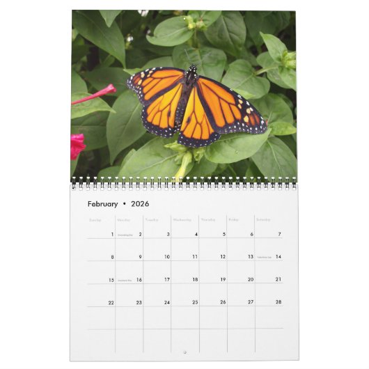 マダラチョウのカレンダー カレンダー (2月 2026)