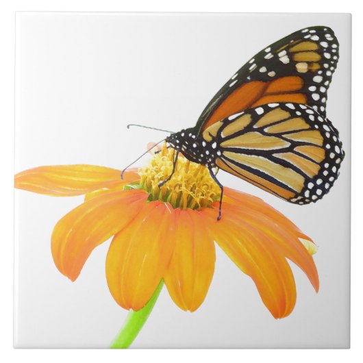 マダラチョウのヒマワリの花の野性生物の花柄 タイル (正面)