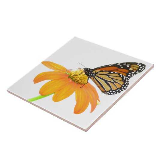 マダラチョウのヒマワリの花の野性生物の花柄 タイル (側面)