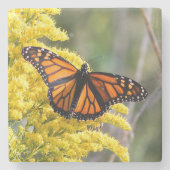 マダラチョウの石のコースター ストーンコースター (正面)